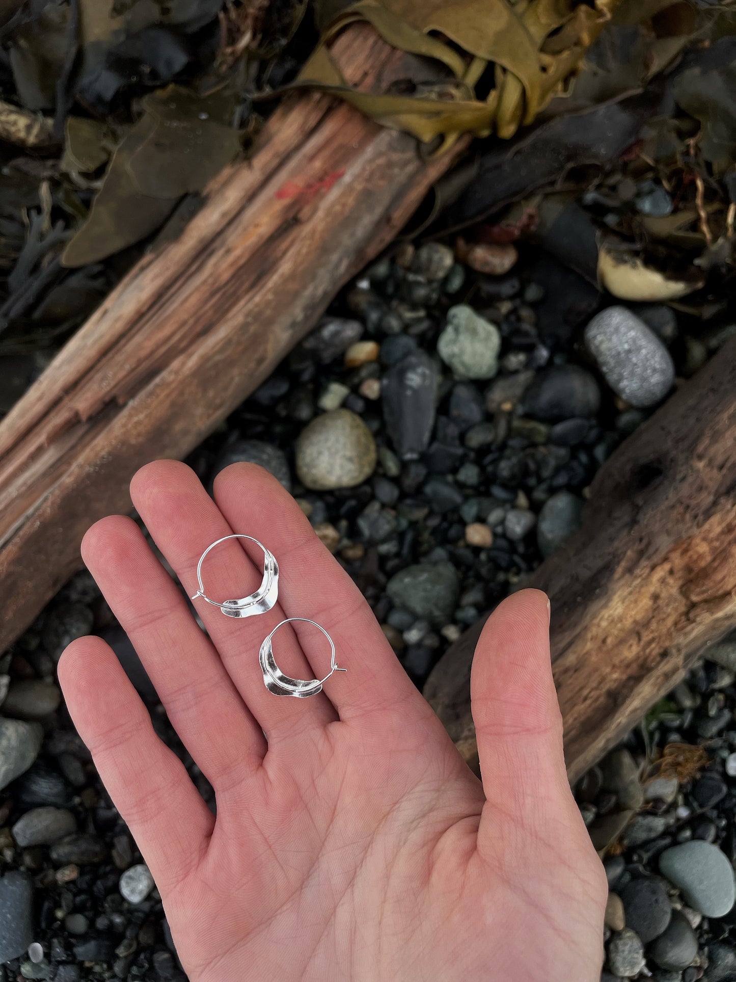 Eelgrass Hoops